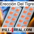 Erección Del Tigre 27